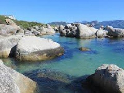 Boulders Beach. , a tour attraction in Cape Town, South Africa