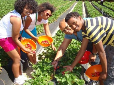 Polkadraai Farm, a tour attraction in Cape Town, Western Cape, South