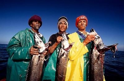 Snoek Fishing, a tour attraction in Cape Town, Western Cape, South