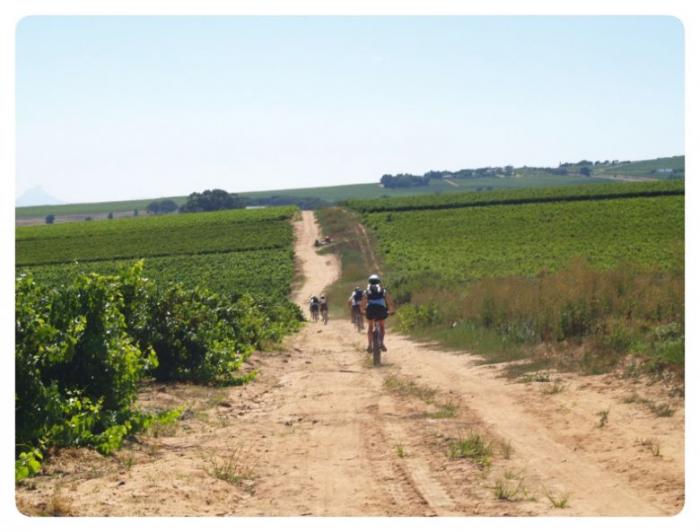 Mountain Bike Wine Tasting, a tour attraction in Cape Town, Western Cape, South