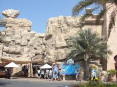 Wild Wadi Water Park, a tour attraction in Ø¯Ø¨&Ug