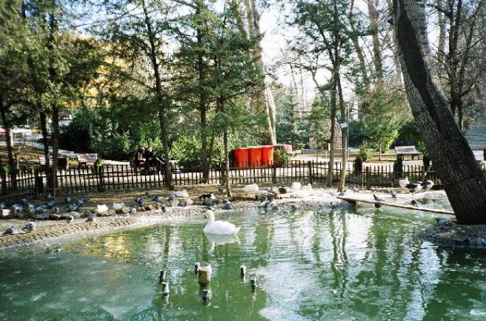 Kuğulu Park, a tour attraction in Ankara TÃ¼rkiye