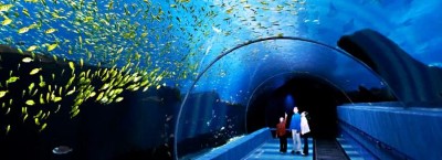 Georgia Aquarium, a tour attraction in Atlanta, GA, United States