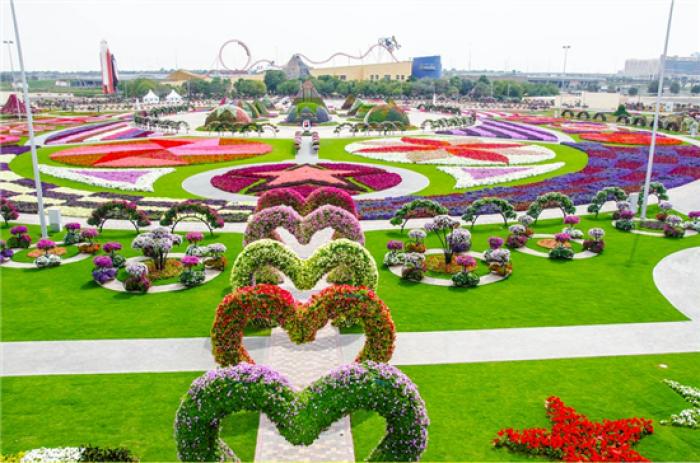 Dubai Miracle Garden, a tour attraction in Ø¯Ø¨&Ug