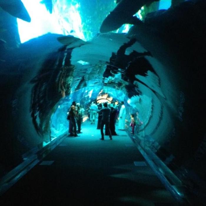 Dubai Aquarium Ø­ÙØ¶ Ø¯Ø¨Ù Ù&U, a tour attraction in Ø¯Ø¨&Ug