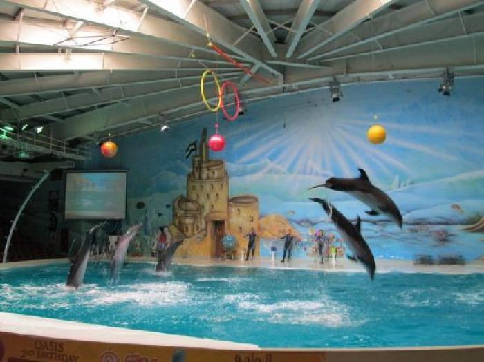 Dubai Dolphinarium, a tour attraction in Ø¯Ø¨&Ug