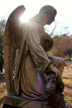 Braamfontein Cemetry, a tour attraction in  
