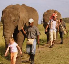 The Elephant Sanctuary, a tour attraction in EGoli iNingizimu Afrika
