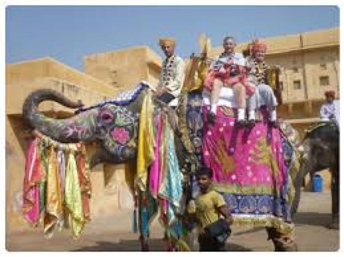Elefantastic, a tour attraction in Jaipur India