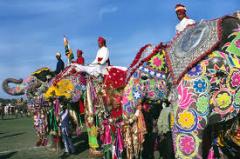 Elephant Festival, a tour attraction in Jaipur, Rajasthan, India