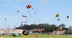 Kite Festival, a tour attraction in Jaipur India