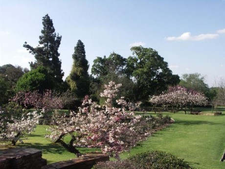 Johannesburg Botanical Garden, a tour attraction in Johannesburg, Gauteng, South A