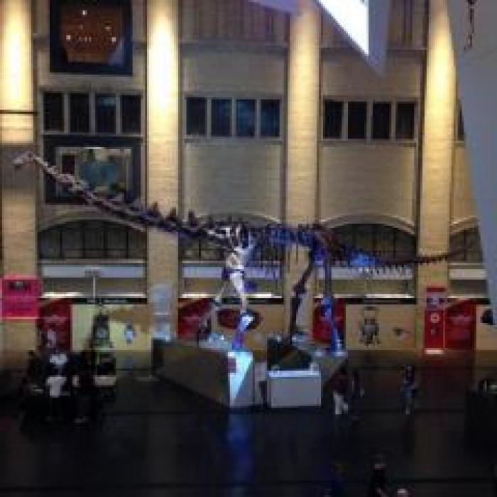 Royal Ontario Museum - ROM Governors, a tour attraction in Toronto Canada