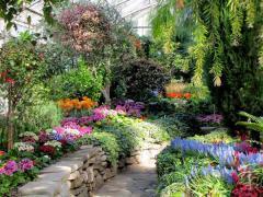 Allan Gardens, a tour attraction in 