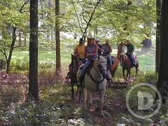 Wilstem Guest Ranch, a tour attraction in Paoli United States