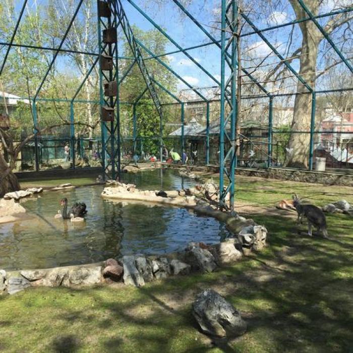 Zoološki vrt grada Beograda, a tour attraction in Београд Србија