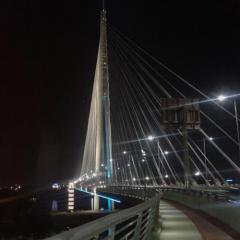 Most na Adi, a tour attraction in Београд Србија