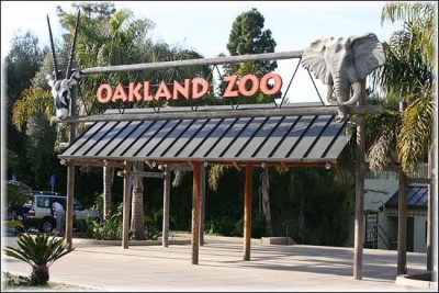 Oakland Zoo, a tour attraction in Oakland United States