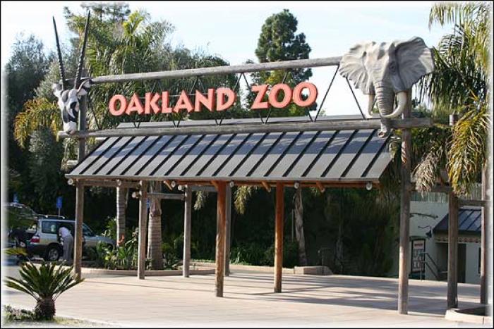 Oakland Zoo, a tour attraction in Oakland United States