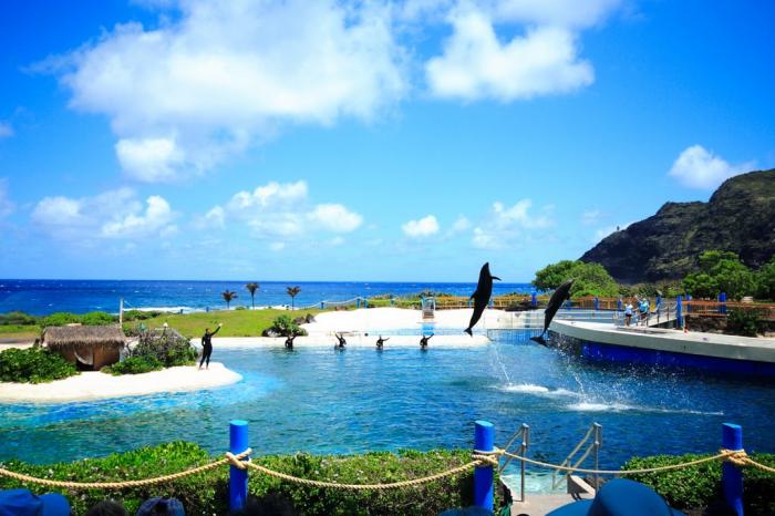 Sea Life Park, a tour attraction in Oahu, Hawaii, United States 