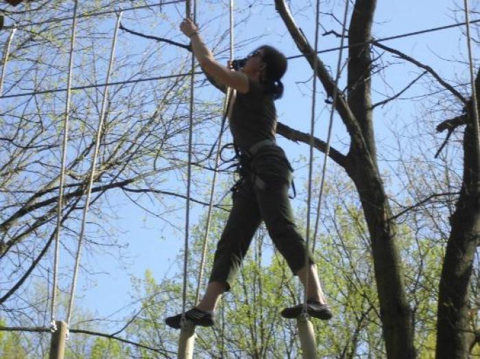 Go Ape, a tour attraction in Annapolis United States