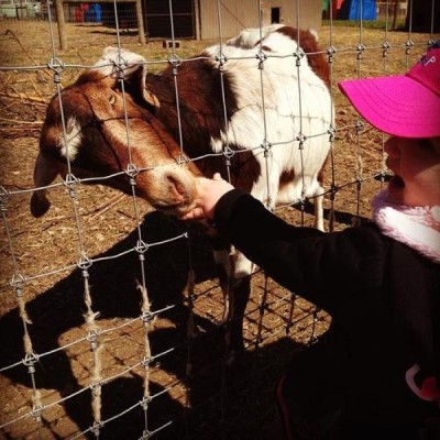 Queens County Farm Museum, a tour attraction in Queens, NY, USA