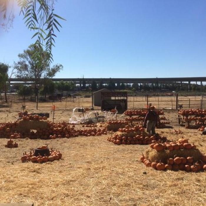 Emma Prusch Farm Park, a tour attraction in San Jose United States