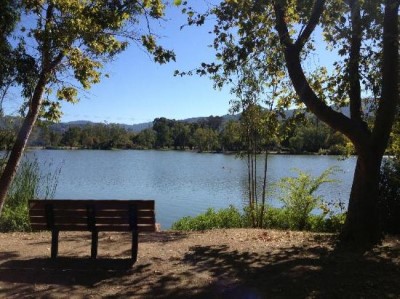 Los Gatos Creek Trail, a tour attraction in San Jose United States