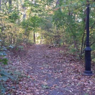 Forest Park, a tour attraction in Queens, NY, USA