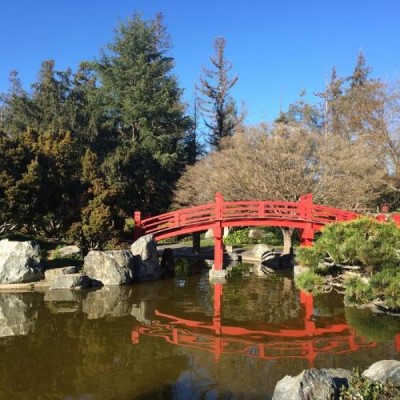 Japanese Friendship Garden, a tour attraction in San Jose United States