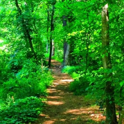 The Blue Heron Nature Preserve, a tour attraction in Atlanta United States