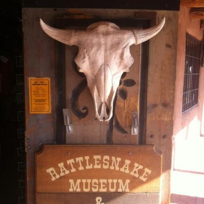 The Rattlesnake Museum, a tour attraction in Albuquerque United States
