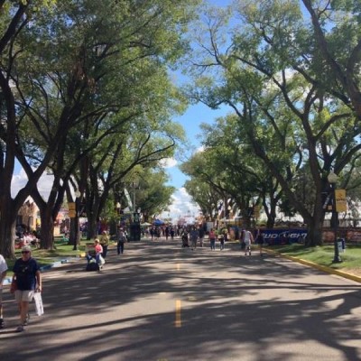 New Mexico State Fairgrounds, a tour attraction in Albuquerque United States