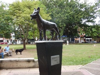 Parque del Perro, a tour attraction in Cali Colombia