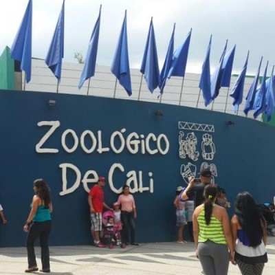 Zoológico de Cali, a tour attraction in Cali Colombia