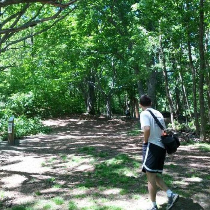 Newton Hill Disc Golf, a tour attraction in Worcester, MA, United States 