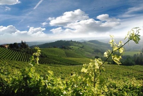 Colli Euganei, a tour attraction in Padua, Italy