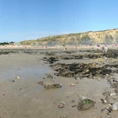 Charmouth Beach, a tour attraction in Dorset, United Kingdom 