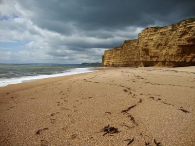 Hive Beach, a tour attraction in Dorset, United Kingdom 