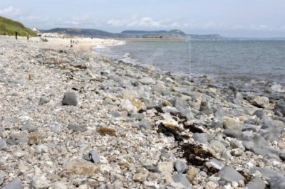 Monmouth Beach, a tour attraction in Dorset, United Kingdom 