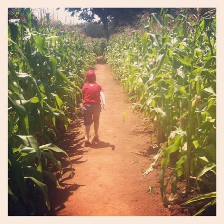 Honeydew Mazes, a tour attraction in Johannesburg, Gauteng, South A