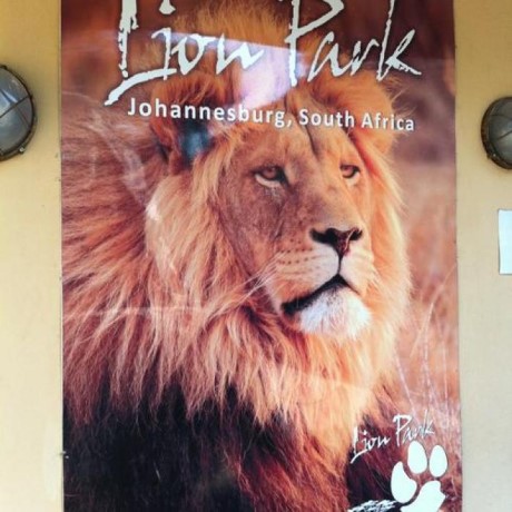 Lion Park, a tour attraction in Johannesburg, Gauteng, South A
