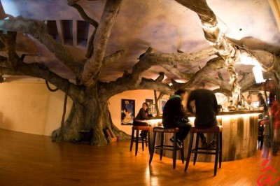 Kava Bar, a tour attraction in San Diego, CA, United States