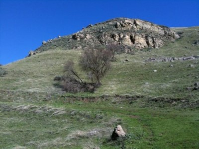 Monument Peak, a tour attraction in San Jose, CA, United States 