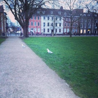 Queen Square, a tour attraction in Bristol, United Kingdom