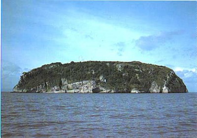 Steep Holm Nature Reserve, a tour attraction in Bristol, United Kingdom