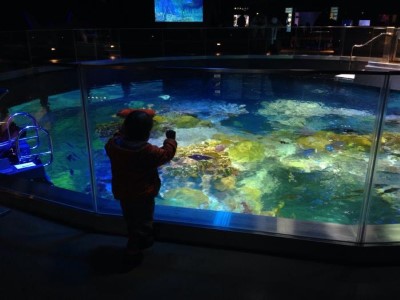 New England Aquarium, a tour attraction in Boston, MA, United States 