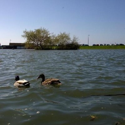 Portishead Lake Grounds, a tour attraction in Bristol, United Kingdom