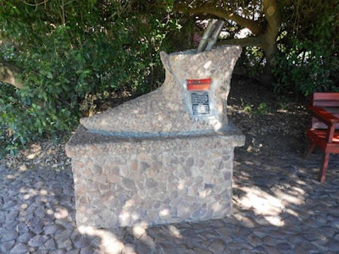 Post Office Tree, a tour attraction in The Garden Route South Africa