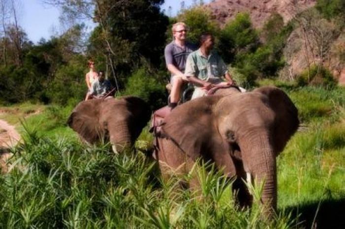 Ride an elephant, a tour attraction in The Garden Route South Africa